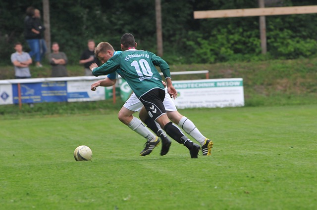 阶段性自我 阶段性自我