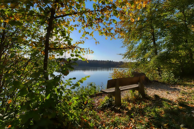 进一步增强 进一步增强