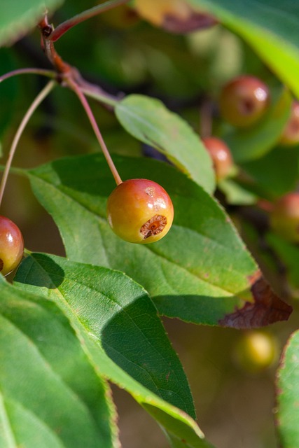 打破僵局 打破僵局