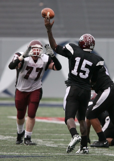 現助鵜鶘翻 現助鵜鶘翻