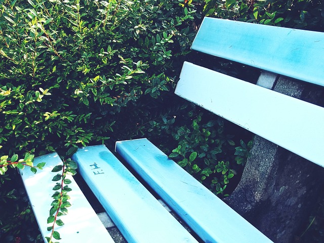 骑士长人阵 骑士长人阵